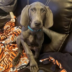 Meet your Posher, Mike